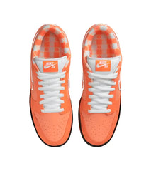 NIKE SB DUNK LOW CONCEPTS ORANGE LOBSTER (REGULAR BOX)